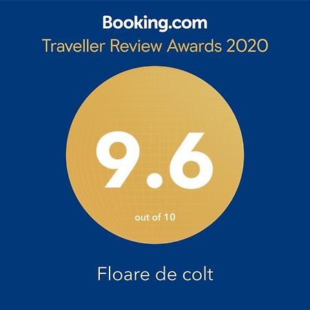 Floare de colt Villa Arefu Exterior foto