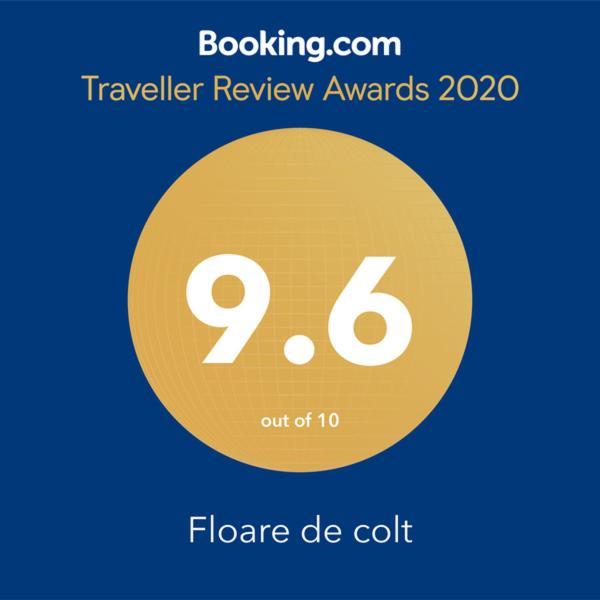 Floare de colt Villa Arefu Exterior foto