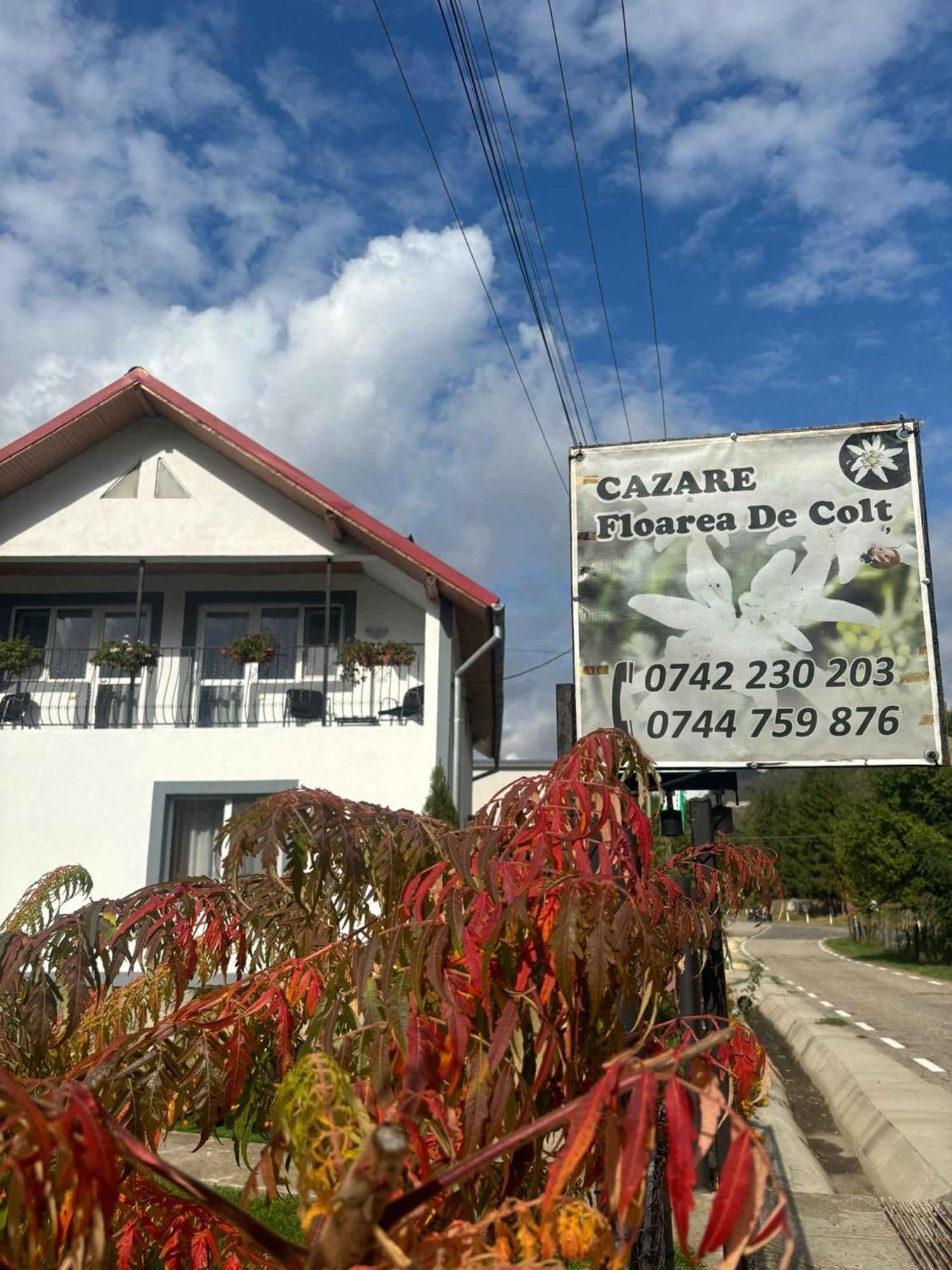 Floare de colt Villa Arefu Exterior foto