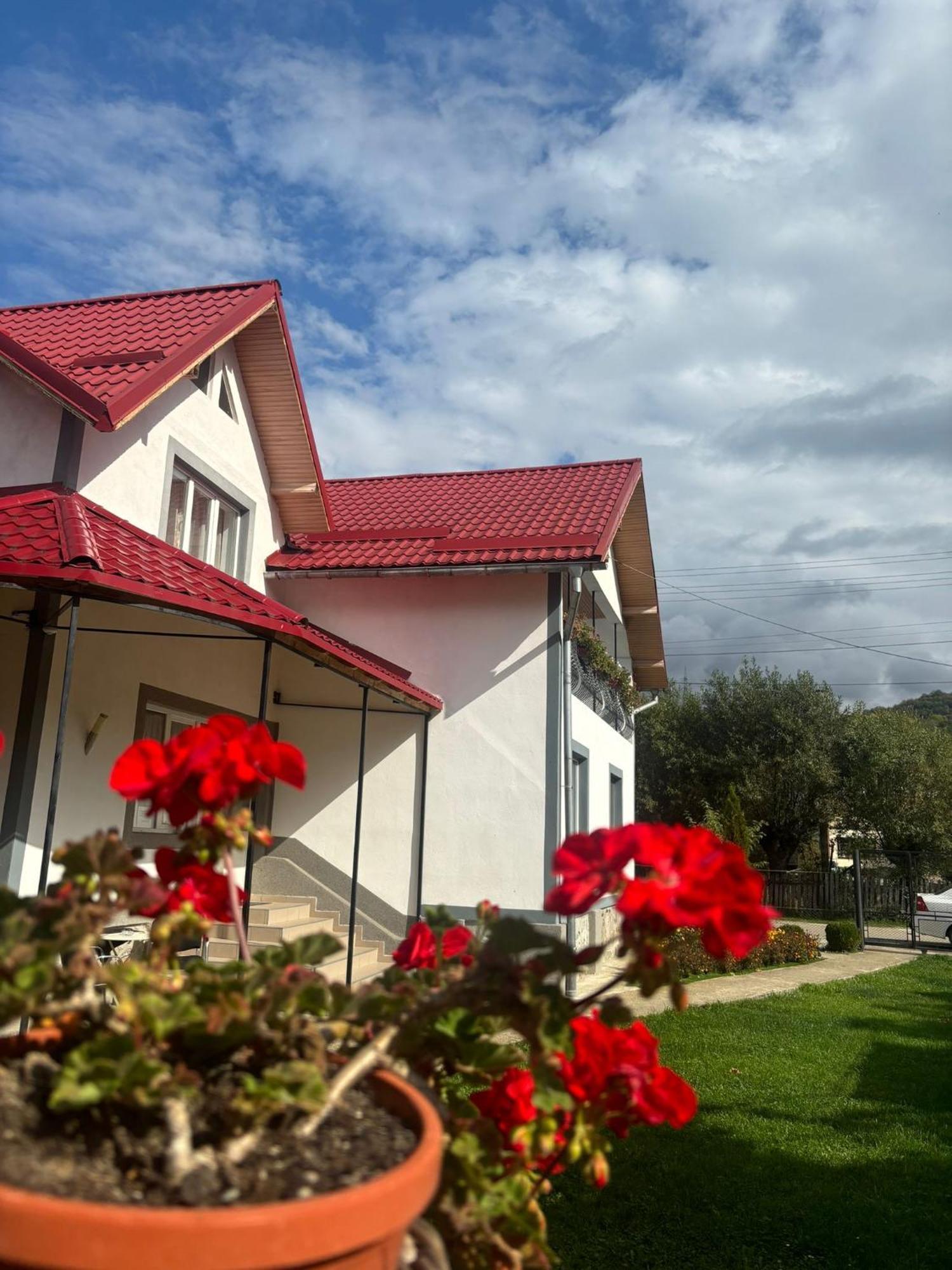 Floare de colt Villa Arefu Exterior foto
