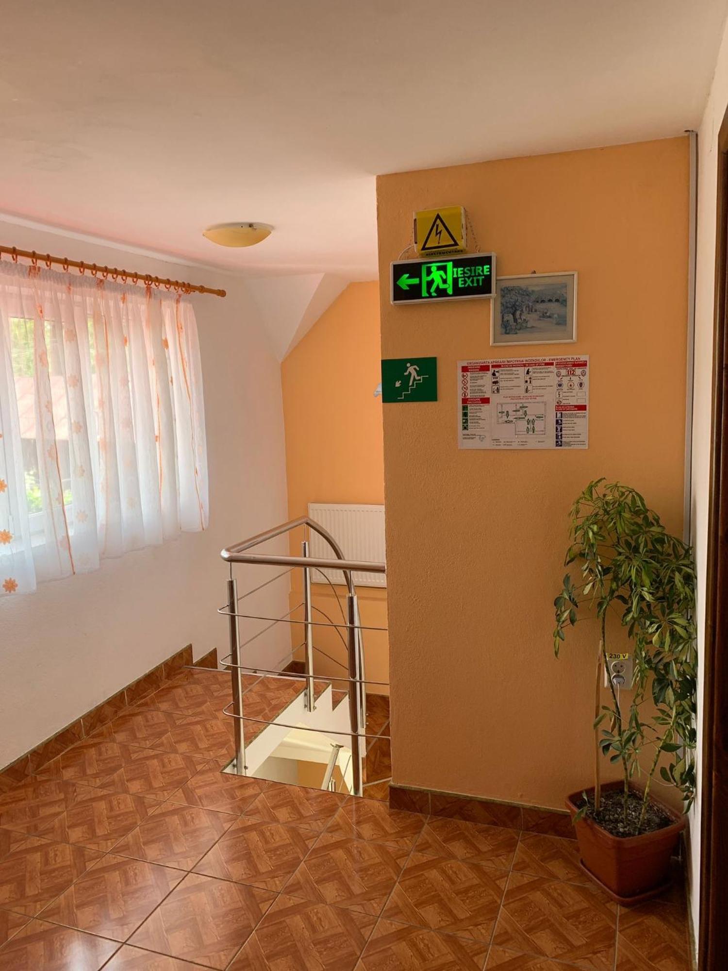 Floare de colt Villa Arefu Exterior foto